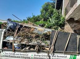 Best Carpet Removal and Disposal  in Nicholasville, KY